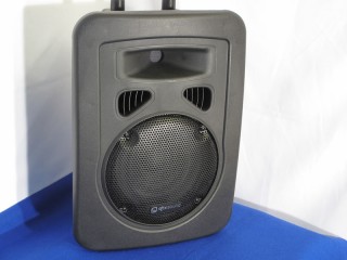 8 inch moulded active speaker